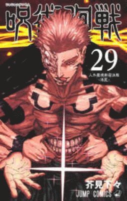 bokomslag Jujutsu Kaisen 29