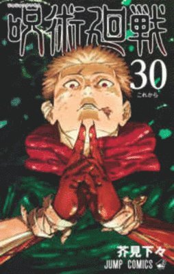 bokomslag Jujutsu Kaisen 30