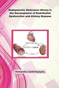 bokomslag Endoplasmic Reticulum Stress in the Development of Endothelial Dysfunction and Kidney Disease