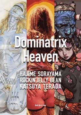 bokomslag Dominatrix Heaven