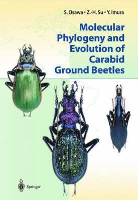 bokomslag Molecular Phylogeny and Evolution of Carabid Ground Beetles