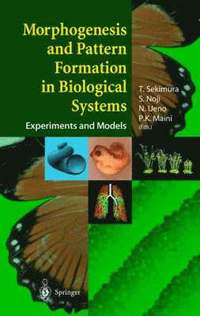 bokomslag Morphogenesis and Pattern Formation in Biological Systems