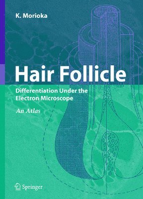 bokomslag Hair Follicle