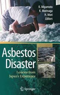 bokomslag Asbestos Disaster