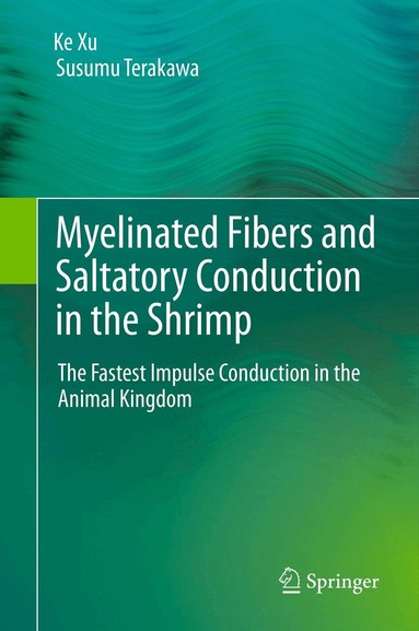 Ke Xu, Susumu Terakawa - Myelinated Fibers and Saltatory Conduction in the Shrimp, Inbunden