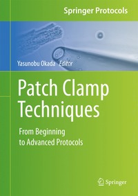 bokomslag Patch Clamp Techniques