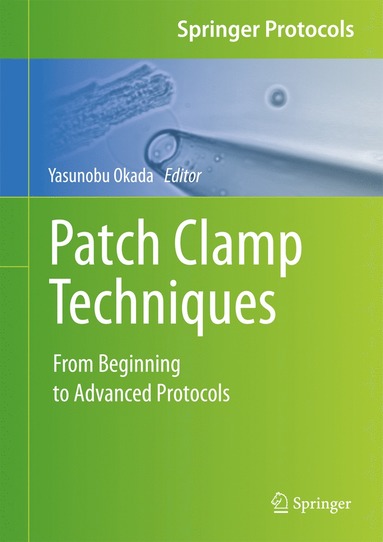 bokomslag Patch Clamp Techniques