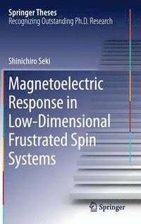 bokomslag Magnetoelectric Response in Low-Dimensional Frustrated Spin Systems