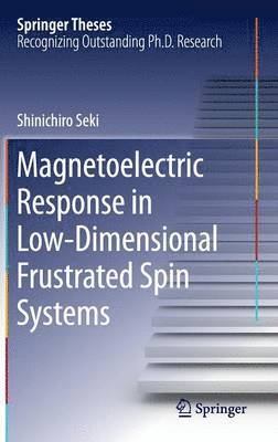 Magnetoelectric Response in Low-Dimensional Frustrated Spin Systems 1