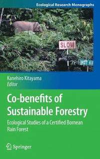 bokomslag Co-benefits of Sustainable Forestry