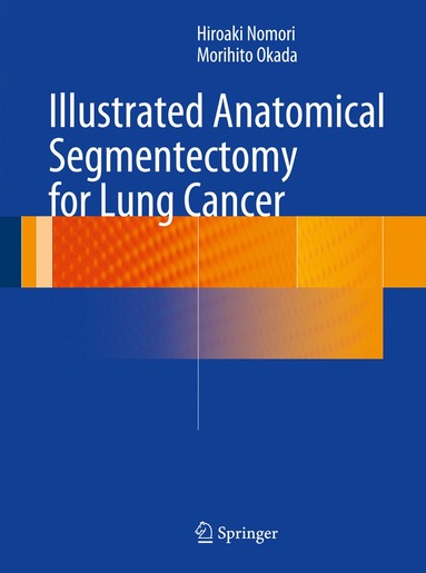 bokomslag Illustrated Anatomical Segmentectomy for Lung Cancer