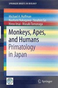 bokomslag Monkeys, Apes, and Humans