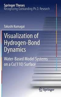 bokomslag Visualization of Hydrogen-Bond Dynamics