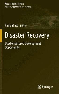 bokomslag Disaster Recovery