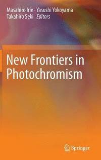 bokomslag New Frontiers in Photochromism