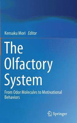The Olfactory System 1