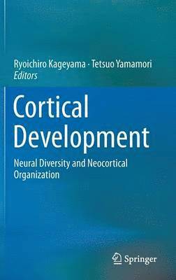 bokomslag Cortical Development