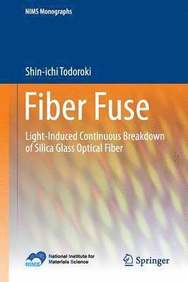 Fiber Fuse 1