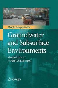 bokomslag Groundwater and Subsurface Environments