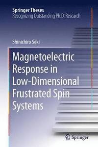 bokomslag Magnetoelectric Response in Low-Dimensional Frustrated Spin Systems