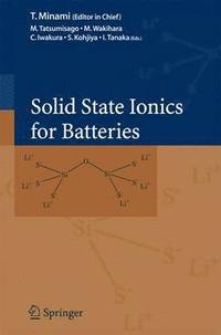 bokomslag Solid State Ionics for Batteries