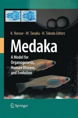 Medaka