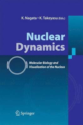 Nuclear Dynamics