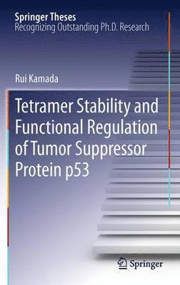 Tetramer Stability and Functional Regulation of Tumor Suppressor Protein p53 1