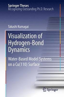 bokomslag Visualization of Hydrogen-Bond Dynamics