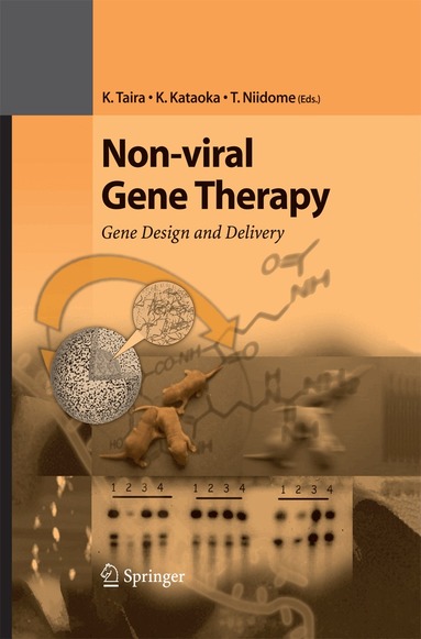 Kazunari Taira, Kazunori Kataoka, Takuro Niidome - Non-viral Gene Therapy, Häftad