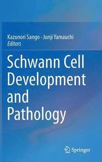 bokomslag Schwann Cell Development and Pathology
