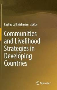bokomslag Communities and Livelihood Strategies in Developing Countries