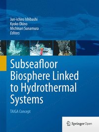 bokomslag Subseafloor Biosphere Linked to Hydrothermal Systems
