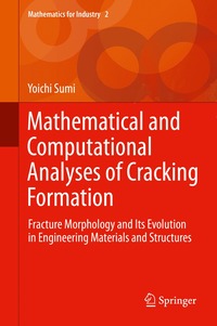 bokomslag Mathematical and Computational Analyses of Cracking Formation