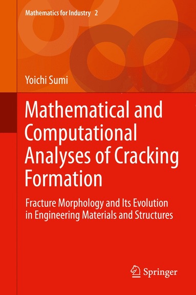 bokomslag Mathematical and Computational Analyses of Cracking Formation