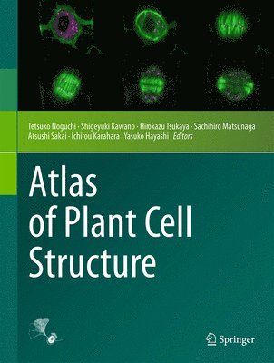 bokomslag Atlas of Plant Cell Structure