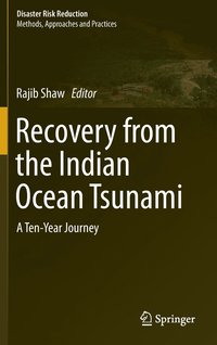 bokomslag Recovery from the Indian Ocean Tsunami