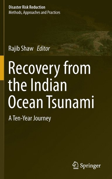 bokomslag Recovery from the Indian Ocean Tsunami
