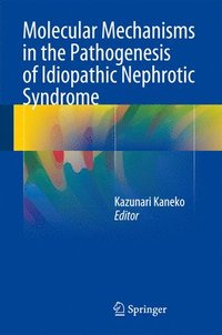 bokomslag Molecular Mechanisms in the Pathogenesis of Idiopathic Nephrotic Syndrome