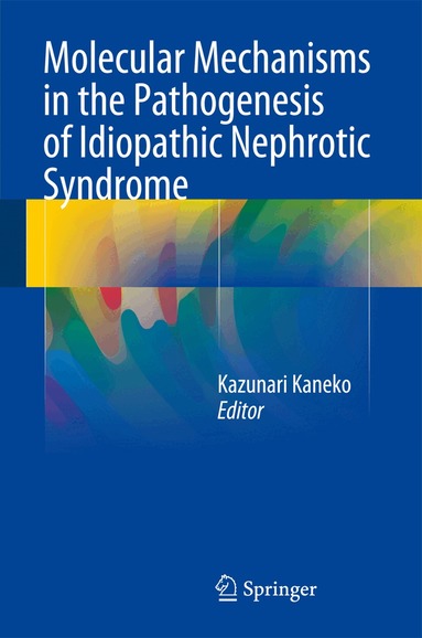 Kazunari Kaneko - Molecular Mechanisms in the Pathogenesis of Idiopathic Nephrotic Syndrome, Inbunden
