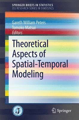 Theoretical Aspects of Spatial-Temporal Modeling 1