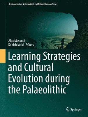 bokomslag Learning Strategies and Cultural Evolution during the Palaeolithic