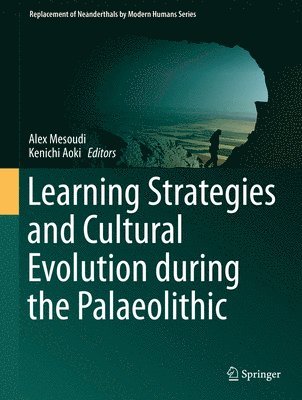 Learning Strategies and Cultural Evolution during the Palaeolithic 1