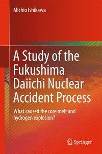 bokomslag Study of the Fukushima Daiichi Nuclear Accident Process