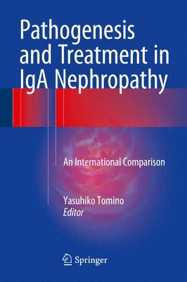 bokomslag Pathogenesis and Treatment in IgA Nephropathy