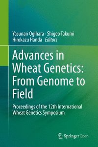 bokomslag Advances in Wheat Genetics: From Genome to Field