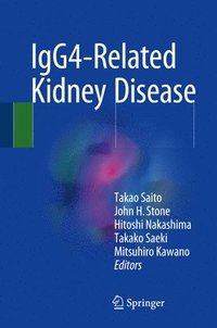 bokomslag IgG4-Related Kidney Disease