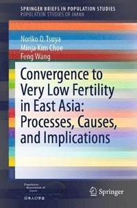 bokomslag Convergence to Very Low Fertility in East Asia: Processes, Causes, and Implications