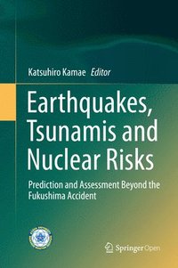 bokomslag Earthquakes, Tsunamis and Nuclear Risks