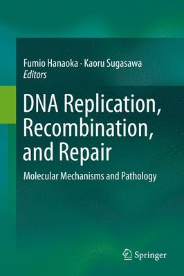 bokomslag DNA Replication, Recombination, and Repair
